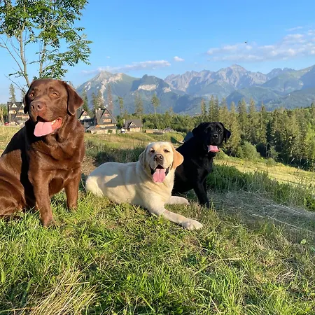 Widokowka Glodowka *