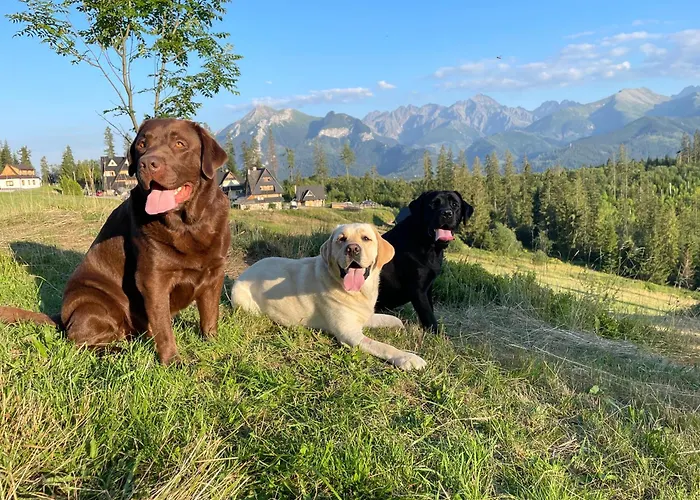 Widokowka Glodowka *